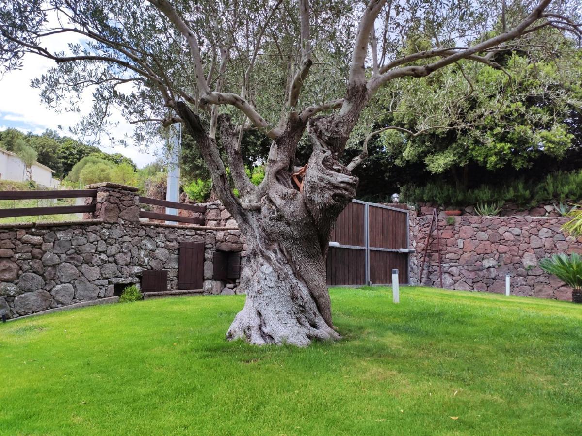 Casa Bados Villa Dorgali Luaran gambar