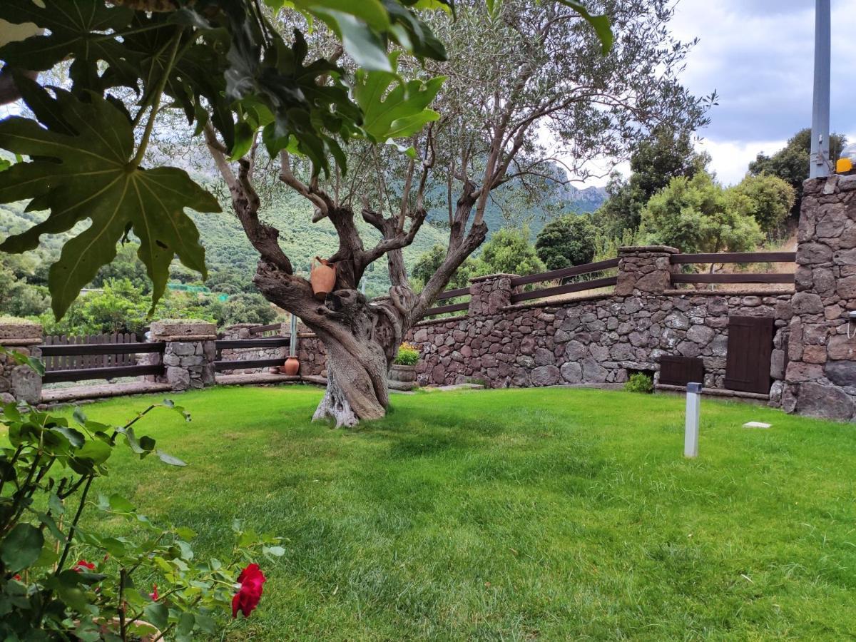 Casa Bados Villa Dorgali Luaran gambar